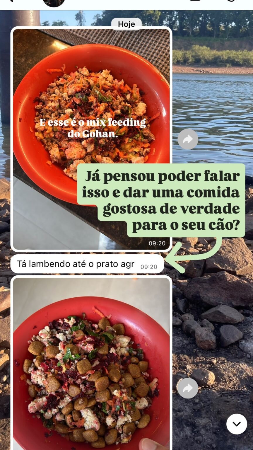 528353917_17930491230088925_2314372473044039107_n.