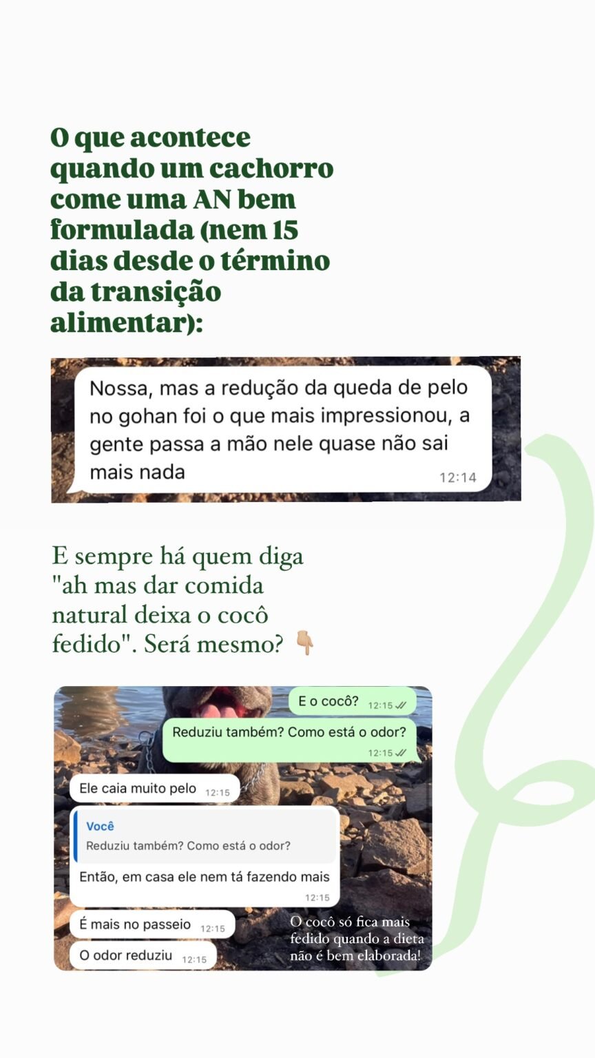 531981844_17931318219088925_4032160927146364588_n.