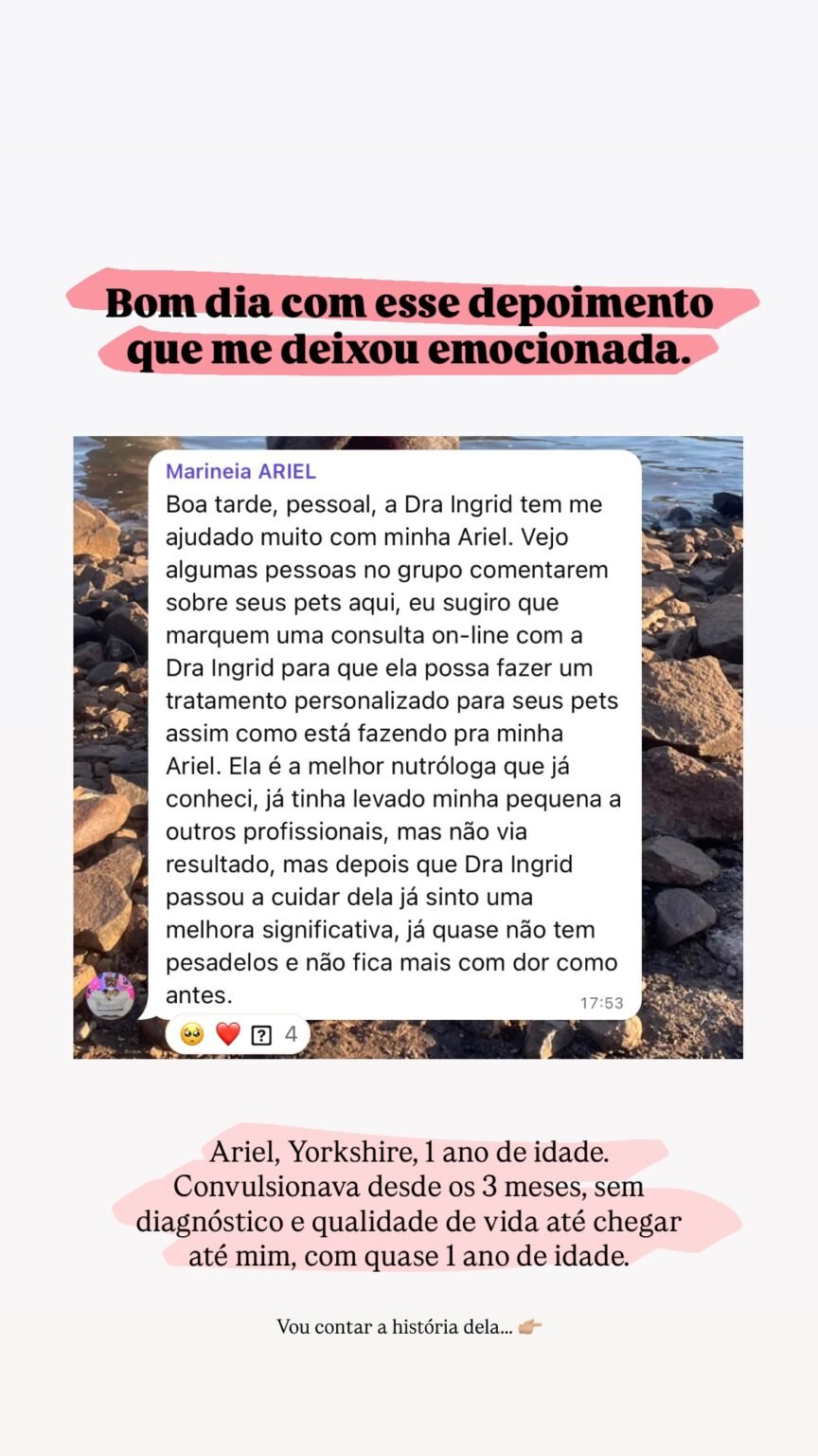 537423646_17932079622088925_4652878978949387318_n.